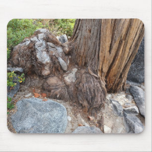 Beautiful Lake Tahoe Scenery Mouse Mat