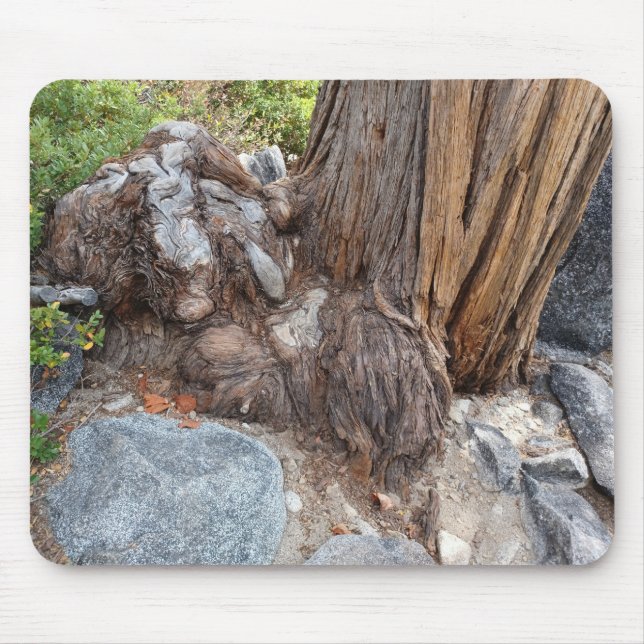 Beautiful Lake Tahoe Scenery Mouse Mat (Front)