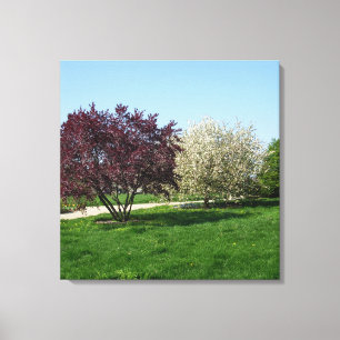 Beautiful Landscape and Trees Canvas Print