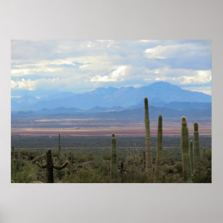 Beautiful landscape of Arizona Poster