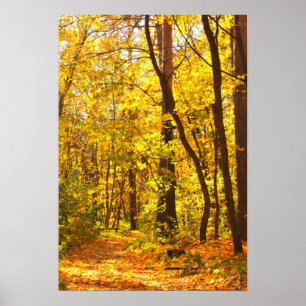 Beautiful Landscape - Road In Autumn Forest Poster