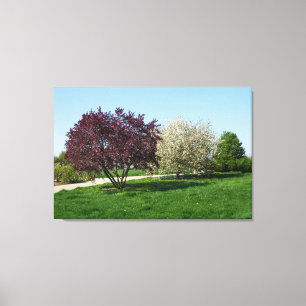 Beautiful Landscape with Trees Canvas Print