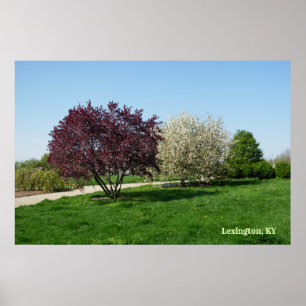Beautiful Landscape with Trees Poster