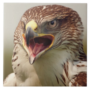 Beautiful Lanner Falcon Tile/Trivet Tile