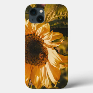 Beautiful Large Yellow Sunflower Tough iPhone 13 Case