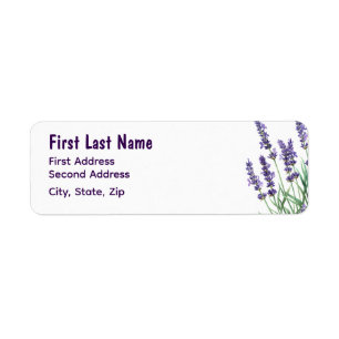 Beautiful Lavender Garden Flower Floral
