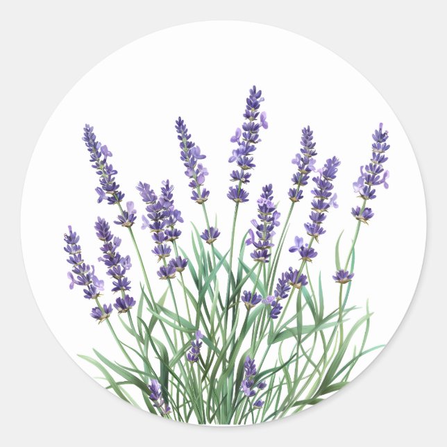 Beautiful Lavender Garden Flower Floral Classic Round Sticker (Front)