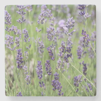 Beautiful Lavender Stone Coaster