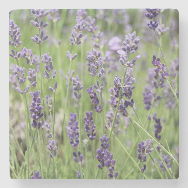 Beautiful Lavender Stone Coaster (Front)