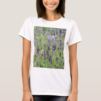 Beautiful Lavender T-Shirt