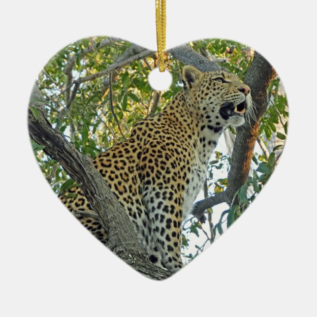 Beautiful leopard close-up ceramic tree decoration (Front)