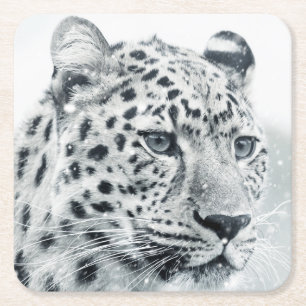 Beautiful Leopard in the Snow Square Paper Coaster