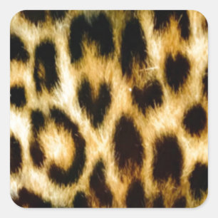 Beautiful Leopard skin Square Sticker