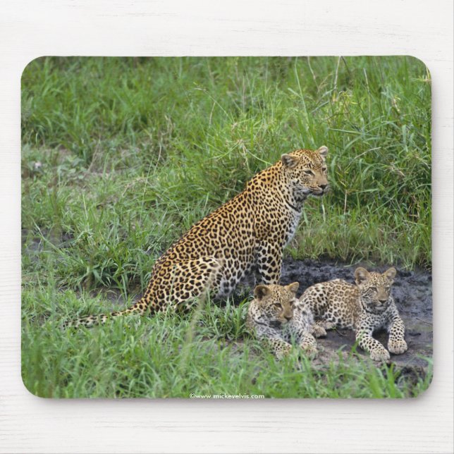 beautiful leopards cub mouse mat (Front)