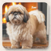 Beautiful Lhasa Apso Personalised Coaster Set