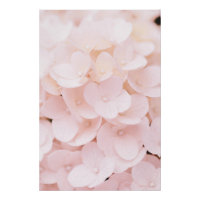 Beautiful Light Pink Flower Petals Floral Poster