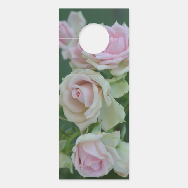 Beautiful light pink garden roses  door hanger (Front)