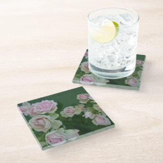Beautiful light pink garden roses glass coaster