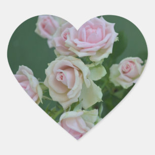 Beautiful light pink garden roses heart sticker