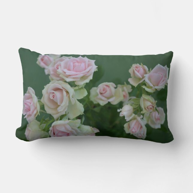 Beautiful light pink garden roses   lumbar cushion (Front)