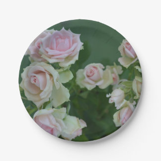 Beautiful light pink garden roses paper plate