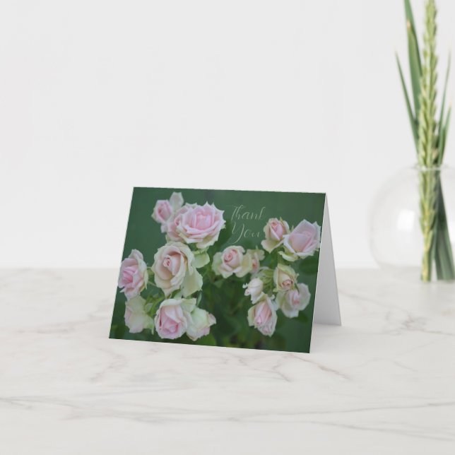 Beautiful light pink garden roses    thank you card (Front)