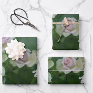 Beautiful light pink garden roses wrapping paper sheet