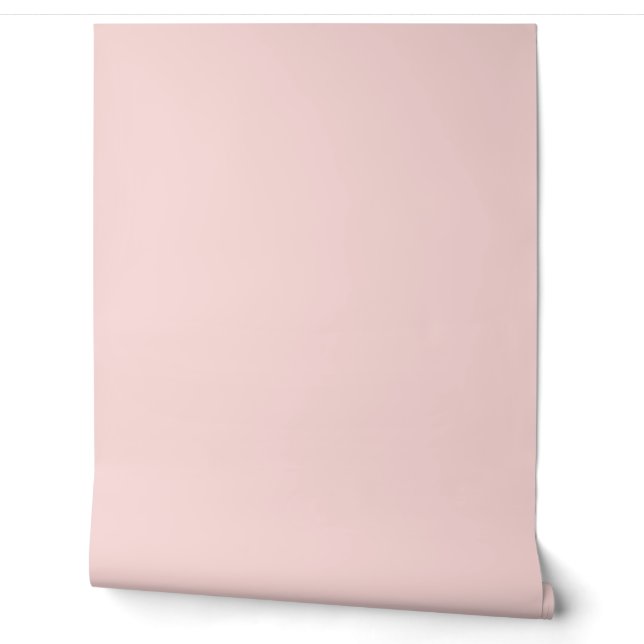 beautiful light pink solid color /pattern wallpaper (Unrolling)