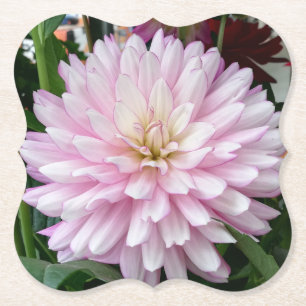 Beautiful Light Purple Dahlia Flower Paper Coaster