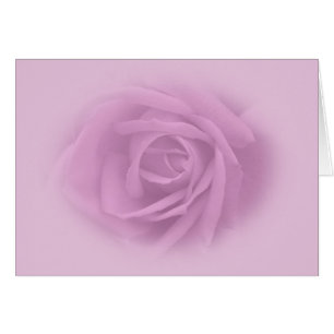 Beautiful Lilac Rose