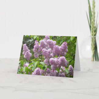 Beautiful Lilacs Blank Note Card-Floral Photograph Card