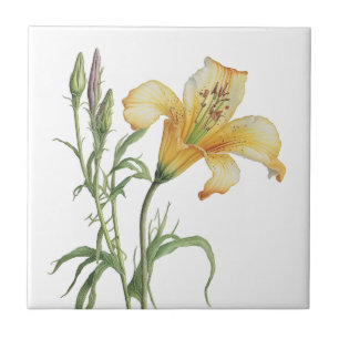 Beautiful Lily Vintage Botanical Ceramic Tile