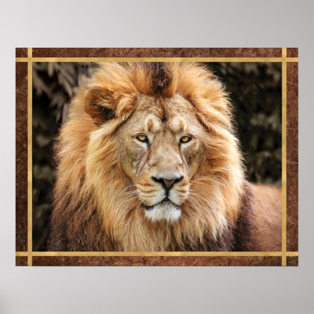 Beautiful Lion Face Photo Poster (Front)