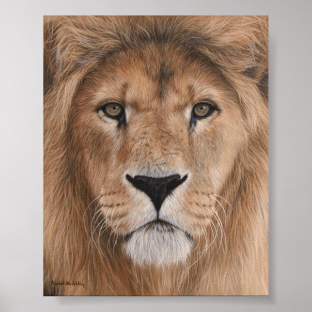 Beautiful Lion Head Poster (Front)