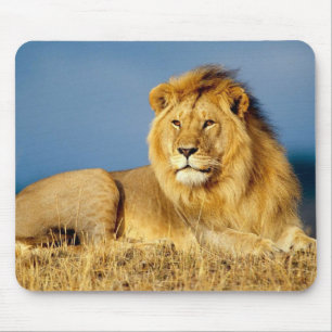 Beautiful Lion Mouse Mat