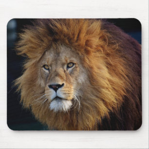 Beautiful Lion Mouse Mat