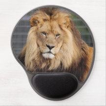Beautiful Lion on a Gel Mousepad