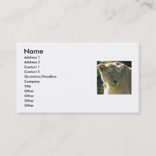 Beautiful Lioness Business Card