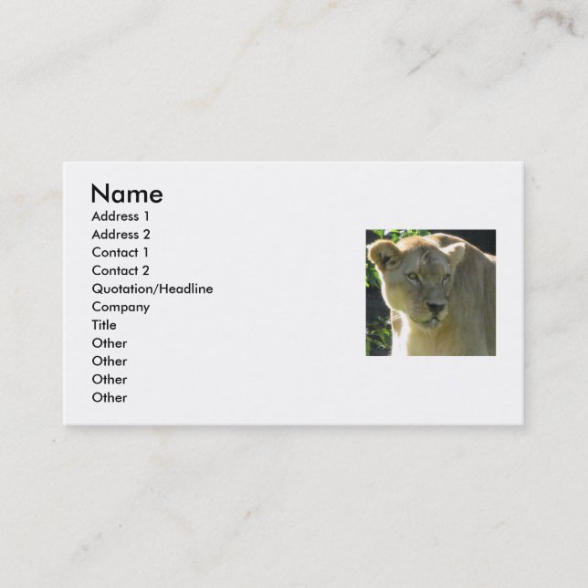 Beautiful Lioness Business Card (Front)