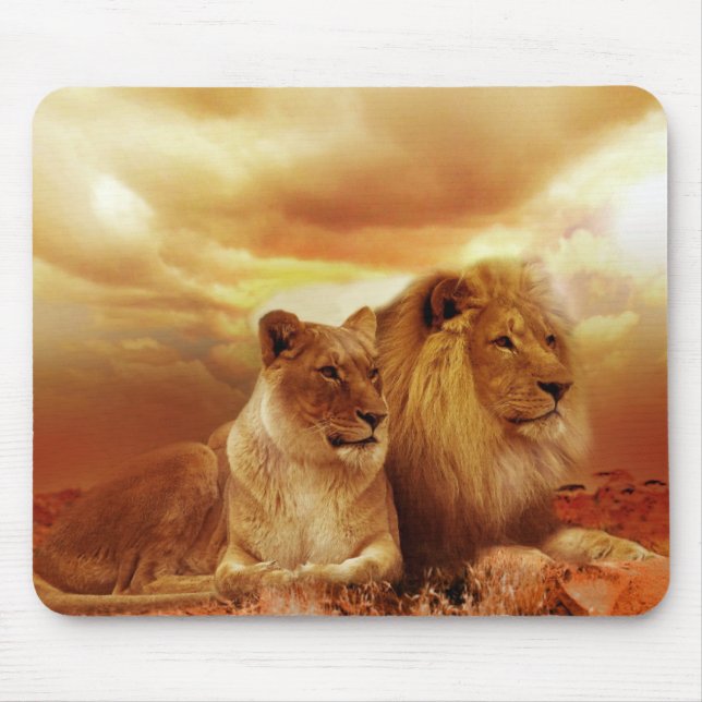 Beautiful Lions Resting Mouse Mat (Front)