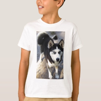 Beautiful little Blizzy! T-Shirt