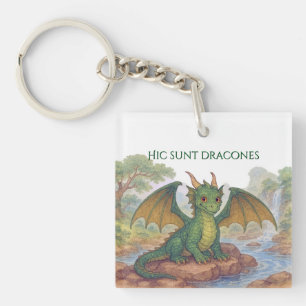 Beautiful little green dragon key ring