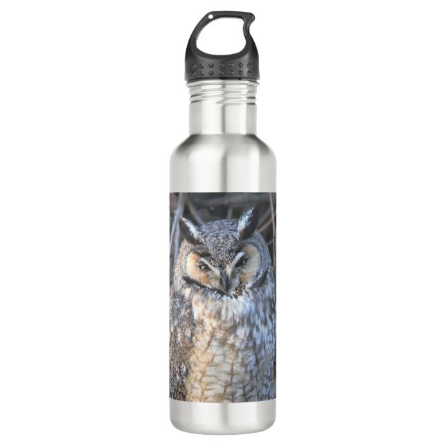 Beautiful Long-Eared Owl at Sunset 710 Ml Water Bottle (Front)