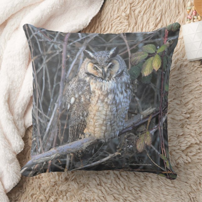 Beautiful Long-Eared Owl at Sunset Cushion (Blanket)