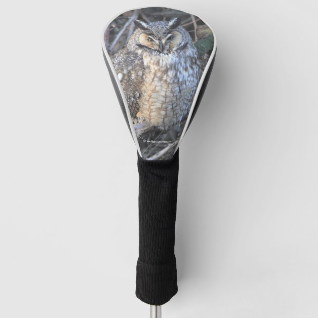 Beautiful Long-Eared Owl at Sunset Golf Head Cover (Front)