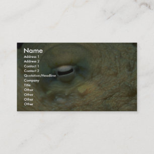 Beautiful Looking into the eye of a reef octopus Business Card