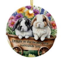 Beautiful Lop Bunny Rabbit Pretty Decoration