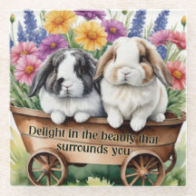 Beautiful Lop Bunny Rabbit Pretty