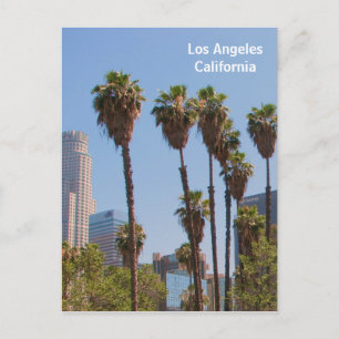 Beautiful Los Angeles Postcard! Postcard