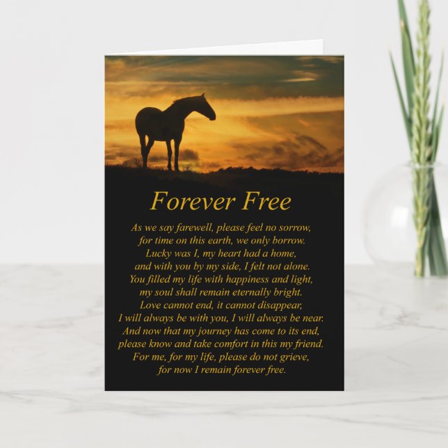 Beautiful Loss of Horse Sympathy Card (Front)